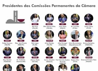 Conheça os novos 25 presidentes das comissões da Câmara