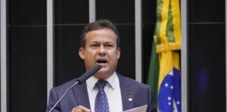 Projeto proíbe exportação de madeira das florestas nativas do país