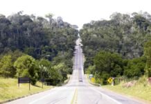 Sooretama: Ibama libera duplicação de trecho na BR 101