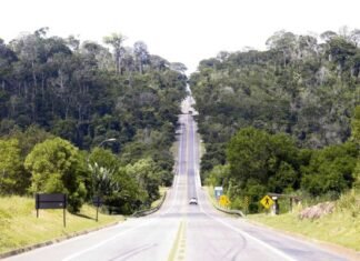 Sooretama: Ibama libera duplicação de trecho na BR 101