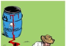 Entidades contra aprovação do ‘PL do veneno’: lei libera agrotóxico que causa câncer