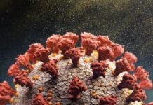 Surge na França nova variante da Covid 19. Mas menos grave