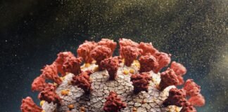 Surge na França nova variante da Covid 19. Mas menos grave