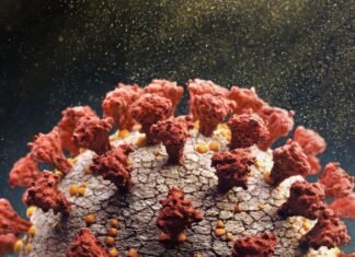 Surge na França nova variante da Covid 19. Mas menos grave