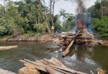 Crime: Garimpo e extração de madeira não se limita a Amazônia,