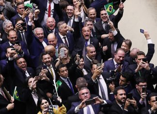 A baixa produtividade dos novatos. Falta de experiência fez deputado produzir menos