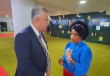 Única deputada federal quer ser coordenadora da bancada capixaba. Eleição semana que vem