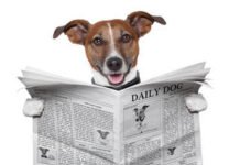 O cassetete democrático