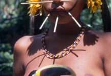 Garimpeiros violentaram pelo menos 30 meninas Yanomami