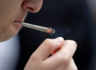 Supremo deve liberar maconha até para bolsonaristas