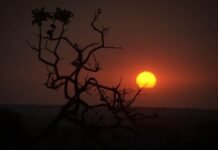 Ministros, deputados e senadores tiram ‘férias’ para campanha