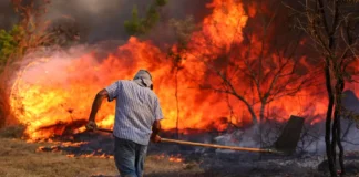 Brasília em chamas vive sua segunda pior seca da história