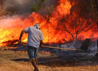 Brasília em chamas vive sua segunda pior seca da história