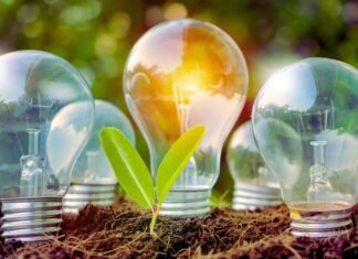 Empresas capixabas mapearão necessidades de financiamentos para descarbonização e transição energética