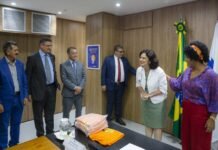 Deputada leva 16 prefeitos do ES a ministra da Saúde