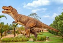 Jogo liberado: Guarapari pode voltar a ser a meca dos cassinos