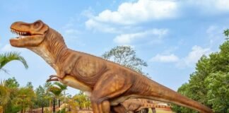 Jogo liberado: Guarapari pode voltar a ser a meca dos cassinos