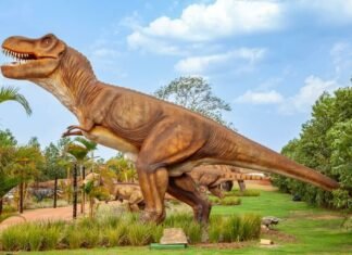 Jogo liberado: Guarapari pode voltar a ser a meca dos cassinos