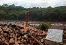 PL da devastação abre porteira que flexibiliza licenças ambientais