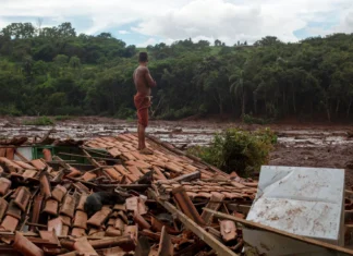 PL da devastação abre porteira que flexibiliza licenças ambientais