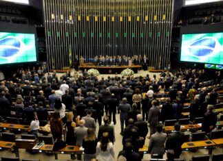 O alto custos dos deputados federais; só este ano