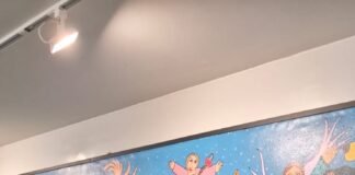 “Federação pode apoiar Ferraço governador e Flávio Bolsonaro presidente”, diz deputado